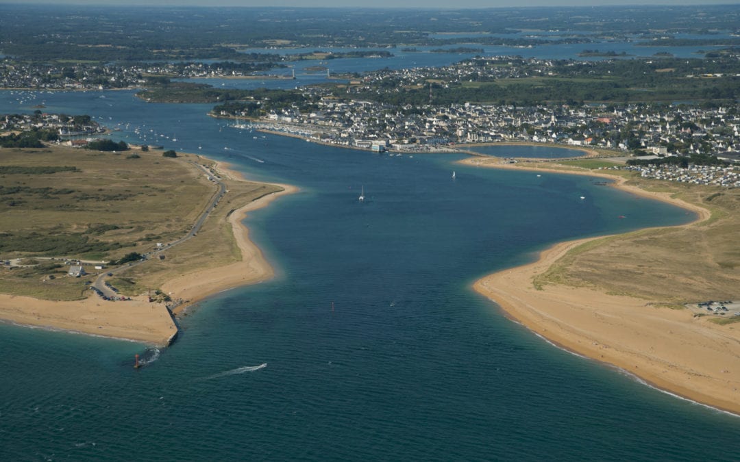 Bonjour tout le monde !